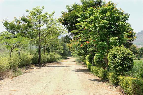 Palmwoods Retreat