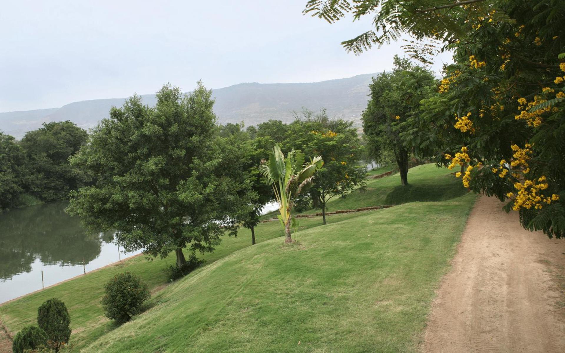 Resort Palmwoods Retreat Pune